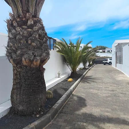 Buganvillas *