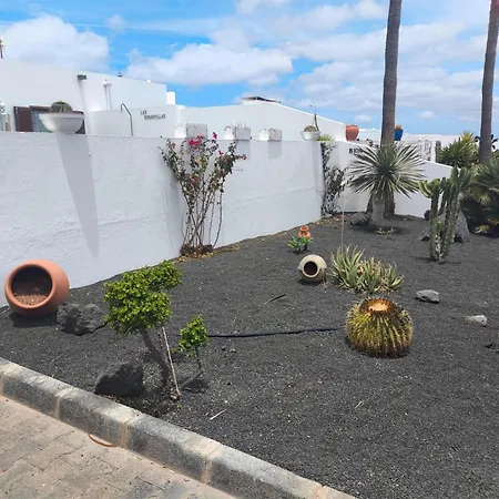 Buganvillas